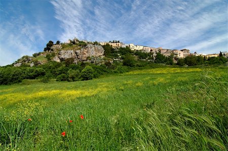 Primavera Photographie de stock - Aubaine LD & Abonnement, Code: 400-05123553