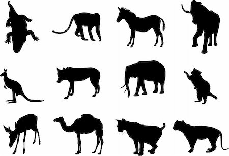 Animals. Set of 12 round vector buttons for web Stock Photo - Budget Royalty-Free & Subscription, Code: 400-05134089