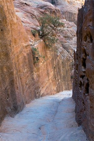 simsearch:400-05132743,k - Narrowing of the High Place path  in Petra - Nabataeans capital city (Al Khazneh) , Jordan. Photographie de stock - Aubaine LD & Abonnement, Code: 400-05134432