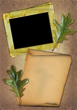 simsearch:400-05156538,k - frameworks, old paper and green leaves of a maple Fotografie stock - Microstock e Abbonamento, Codice: 400-05134494