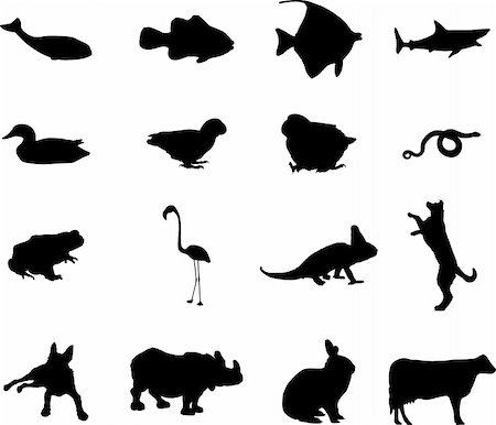 Animals. Set of 12 round vector buttons for web Stock Photo - Budget Royalty-Free & Subscription, Code: 400-05134520