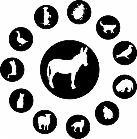 Animals. Set of 12 round vector buttons for web Stock Photo - Budget Royalty-Free & Subscription, Code: 400-05134542