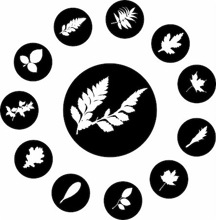 simsearch:640-02950655,k - The set from silhouettes of leaves, is presented in the form of 12 buttons. Stockbilder - Microstock & Abonnement, Bildnummer: 400-05134567