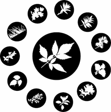 simsearch:640-02950655,k - The set from silhouettes of leaves, is presented in the form of 12 buttons. Stockbilder - Microstock & Abonnement, Bildnummer: 400-05134561
