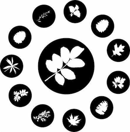 simsearch:640-02950655,k - The set from silhouettes of leaves, is presented in the form of 12 buttons. Stockbilder - Microstock & Abonnement, Bildnummer: 400-05134562