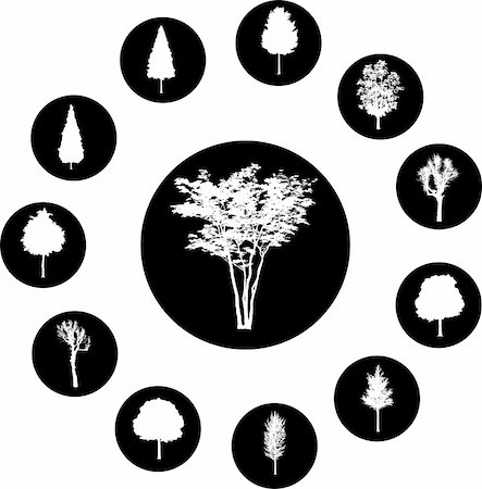 The set from silhouettes of trees, is presented in the form of 12 buttons. Stock Photo - Budget Royalty-Free & Subscription, Code: 400-05134589
