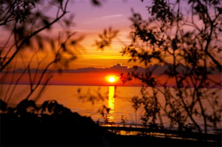 simsearch:400-04170404,k - beautiful sunset on the beach with bushes Stock Photo - Budget Royalty-Free & Subscription, Code: 400-05136811