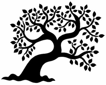 simsearch:400-05885717,k - Leafy tree silhouette - vector illustration. Stock Photo - Budget Royalty-Free & Subscription, Code: 400-05138233