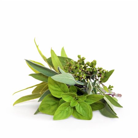 Herb leaf and flower selection of bay, oregano, sage and thyme, over white background. Stockbilder - Microstock & Abonnement, Bildnummer: 400-05138243