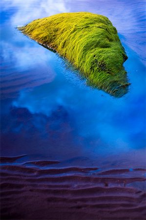 simsearch:400-05138433,k - rock with seaweed hovering in bleu sky over a sea of sand Stock Photo - Budget Royalty-Free & Subscription, Code: 400-05138433