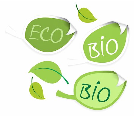 simsearch:400-07556059,k - Set of leaf labels for organic, fresh, healthy, bio food Stockbilder - Microstock & Abonnement, Bildnummer: 400-05138972