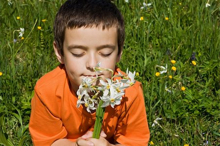 field of daffodil pictures - Boy smelling flowers in the meadow Photographie de stock - Aubaine LD & Abonnement, Code: 400-05139559