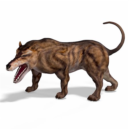 simsearch:400-05130767,k - Dangerous dinosaur Andrewsarchus With Clipping Path over white Stock Photo - Budget Royalty-Free & Subscription, Code: 400-05130761