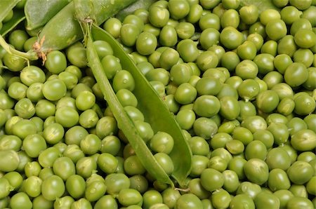 spherule - Single green pea pod opened showing the peas inside with other peas in the background Stock Photo - Budget Royalty-Free & Subscription, Code: 400-05132113