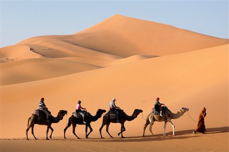 camel caravan in the sahara desert, under the sunny day Stock Photo - Budget Royalty-Free & Subscription, Code: 400-05132386