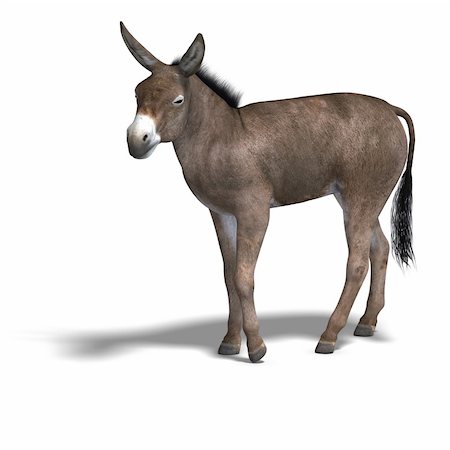 simsearch:400-04052731,k - Rendering of a mule with Clipping Path over white Fotografie stock - Microstock e Abbonamento, Codice: 400-05132447