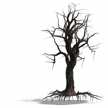3D Render of a dead tree without leafs with shadow and clipping path over white Stock Photo - Budget Royalty-Free & Subscription, Code: 400-05132455