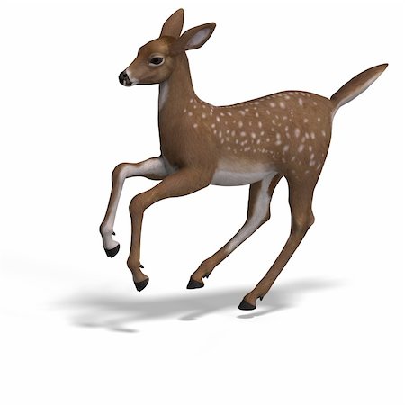 silvan - young doe or fawn With Clipping Path and shadow Stock Photo - Budget Royalty-Free & Subscription, Code: 400-05132733