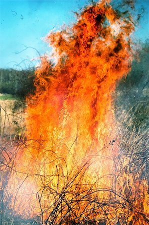 dharmanoid (artist) - Wildfire Stock Photo - Budget Royalty-Free & Subscription, Code: 400-05132957