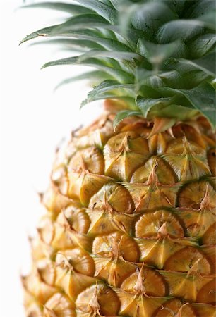 pineapple growing - Closeup of ananas isolated on white background Stock Photo - Budget Royalty-Free & Subscription, Code: 400-05133090