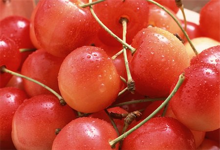 Cherries and waterdrops on them Photographie de stock - Aubaine LD & Abonnement, Code: 400-05133101