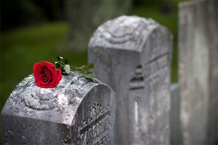 simsearch:400-04080722,k - A red Rose lays upon a headstone in a graveyard, conveying a sense of love and loss to the viewer Stockbilder - Microstock & Abonnement, Bildnummer: 400-05133210