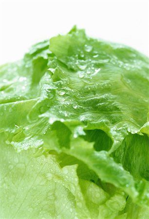 Green lettuce and waterdrops Photographie de stock - Aubaine LD & Abonnement, Code: 400-05133266