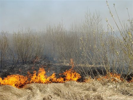 eyjafjallajokull the ash on ground - burning dry grass at the spring field Stock Photo - Budget Royalty-Free & Subscription, Code: 400-05133307