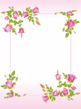 simsearch:400-04600780,k - vector decorated  pretty pink rose frame Stock Photo - Budget Royalty-Free & Subscription, Code: 400-05133399