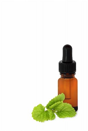 simsearch:400-04141304,k - Lemon balm herb leaf sprig with aromatherapy essential oil dropper bottle, over white background. Photographie de stock - Aubaine LD & Abonnement, Code: 400-05133535