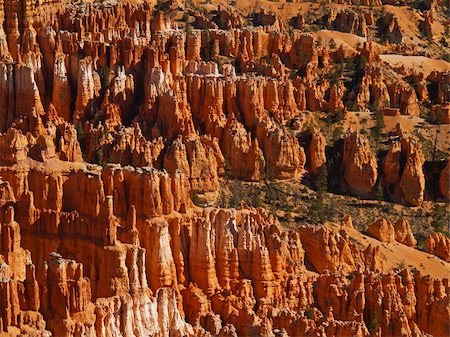 The Bryce Canyon National Park, Utah, USA Stock Photo - Budget Royalty-Free & Subscription, Code: 400-05144486