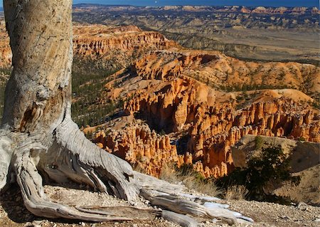 The Bryce Canyon National Park, Utah, USA Foto de stock - Super Valor sin royalties y Suscripción, Código: 400-05144491