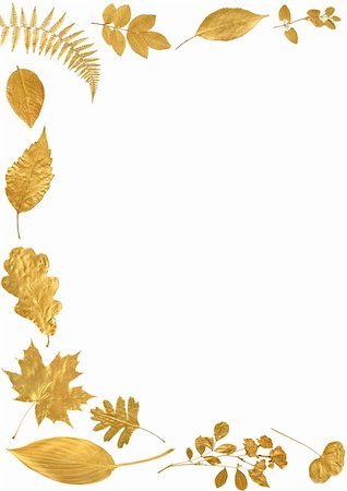 Golden leaf selection forming an abstract frame over white  background. Stock Photo - Budget Royalty-Free & Subscription, Code: 400-05145548