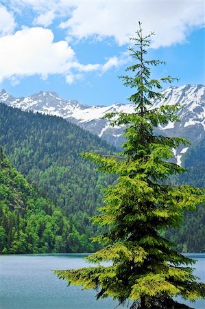 simsearch:400-06746836,k - snowy mountains lake landscape with cloudy sky and tree in foreground Foto de stock - Super Valor sin royalties y Suscripción, Código: 400-05146387