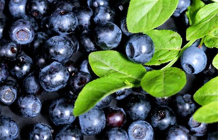 beautiful blue bilberries Stock Photo - Budget Royalty-Free & Subscription, Code: 400-05146513