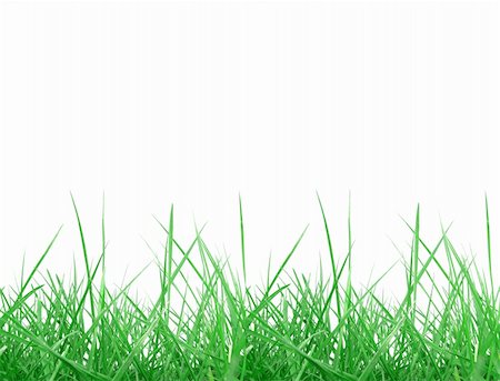 simsearch:400-05118067,k - Green meadow grass over white background with copy space Stock Photo - Budget Royalty-Free & Subscription, Code: 400-05147398