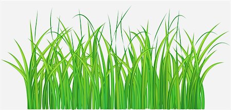 simsearch:400-04382842,k - Vector illustration du Straight forward herbeux vert Photographie de stock - Aubaine LD & Abonnement, Code: 400-05148228