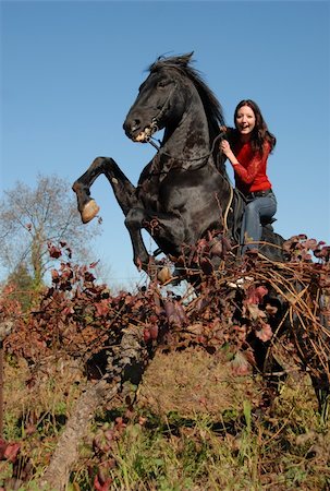 rearing horseback riding - rearing black stallion and happy young girl in autumn Stock Photo - Budget Royalty-Free & Subscription, Code: 400-05148286