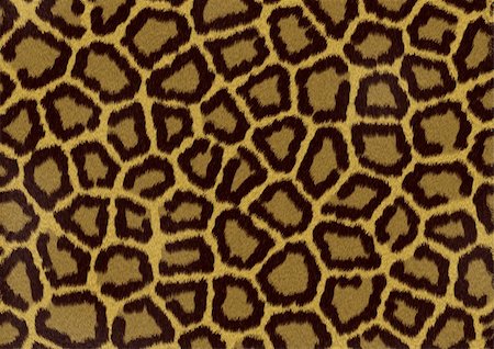 Abstract raster leopard texture background Photographie de stock - Aubaine LD & Abonnement, Code: 400-05148437