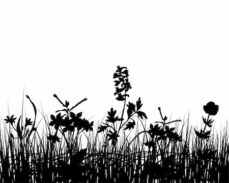 Vector grass silhouettes background for design use Stock Photo - Budget Royalty-Free & Subscription, Code: 400-05148546