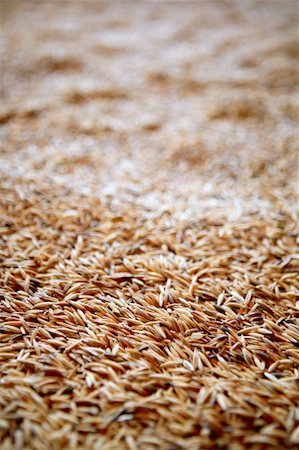 simsearch:400-08428404,k - Oat cereal grain texture with selective focus Stock Photo - Budget Royalty-Free & Subscription, Code: 400-05148614