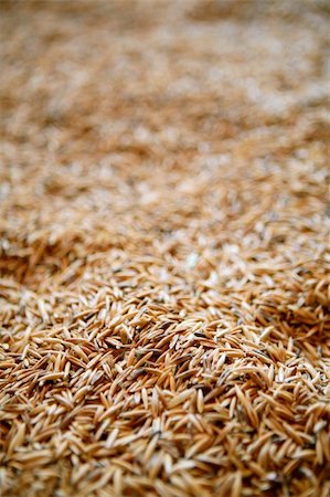simsearch:400-08428404,k - Oat cereal grain texture with selective focus Stock Photo - Budget Royalty-Free & Subscription, Code: 400-05148613