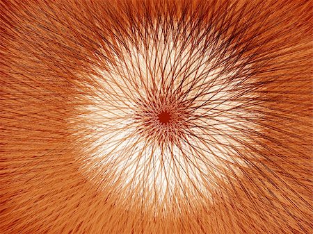 Orange fluffy graphical core - computer generated texture Photographie de stock - Aubaine LD & Abonnement, Code: 400-05148963