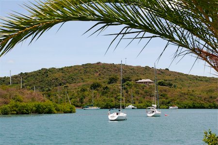 Falmouth Bay and English Harbor Stock Photo - Budget Royalty-Free & Subscription, Code: 400-05149606