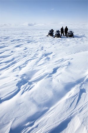 simsearch:400-05140080,k - A barren winter landscape with a group of people on a snowmobile expedition Fotografie stock - Microstock e Abbonamento, Codice: 400-05140142