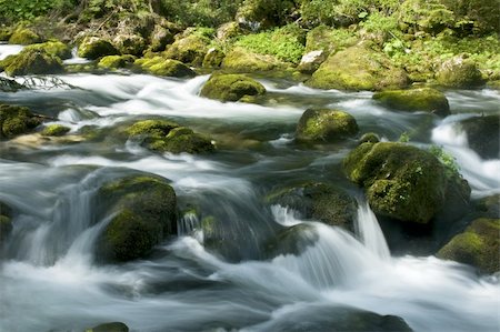 simsearch:400-04923181,k - rapids with stones and moss in austria Photographie de stock - Aubaine LD & Abonnement, Code: 400-05140167