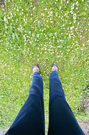 foot daisy - man's feet on daisy field - ultra wide angle at 12mm and full frame camera Stock Photo - Budget Royalty-Free & Subscription, Code: 400-05141325