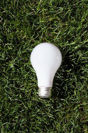 Incandescent light bulb laying on green grass Photographie de stock - Aubaine LD & Abonnement, Code: 400-05141542