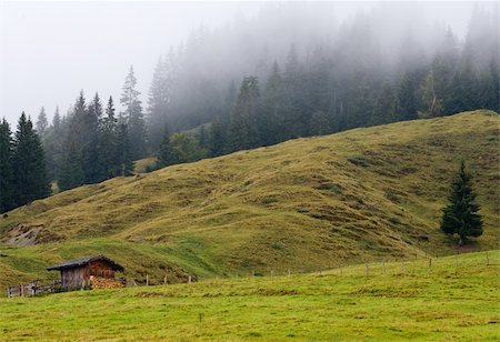 simsearch:400-04609507,k - Landscape under the fog near Maria Alm, Salzkammergut, Austria Fotografie stock - Microstock e Abbonamento, Codice: 400-05141953