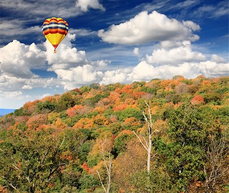 río delaware - The foliage scenery from a highway overlook in New Jersey Foto de stock - Super Valor sin royalties y Suscripción, Código: 400-05142097